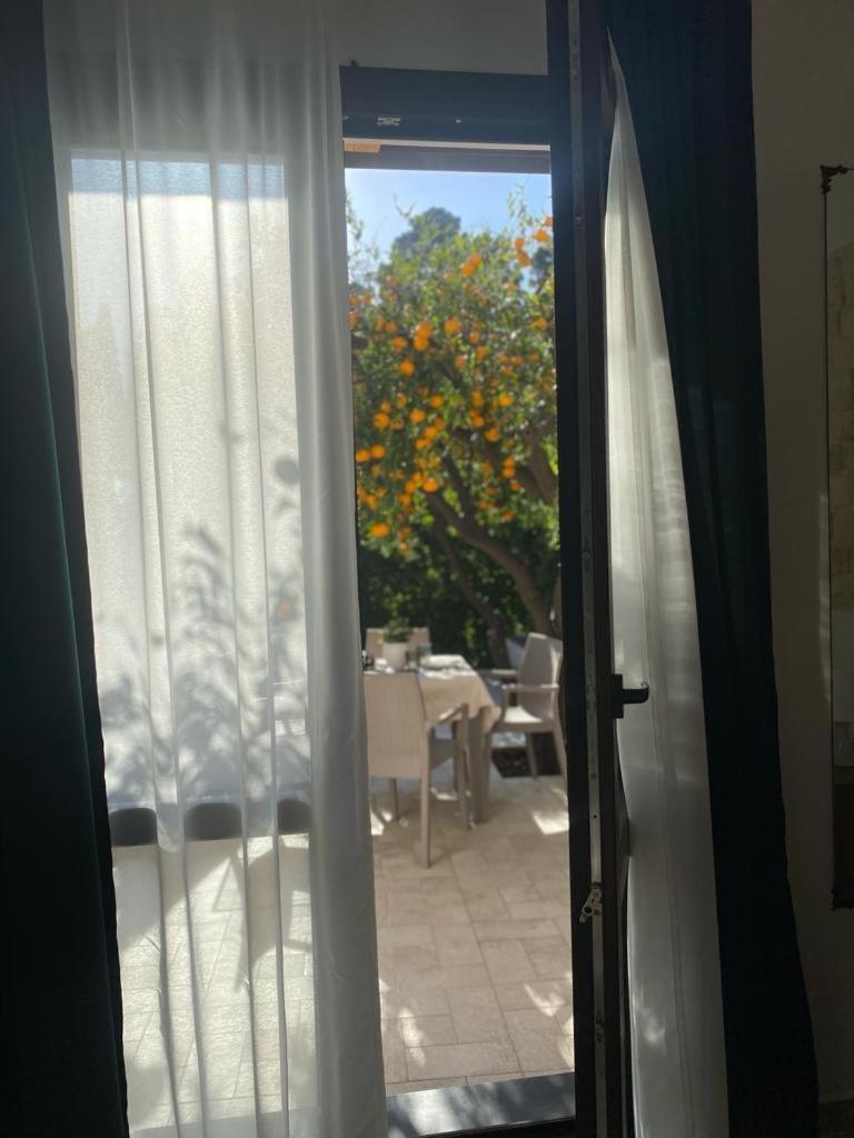 Casa Vacanza Il Mandarino Viagrande Buitenkant foto