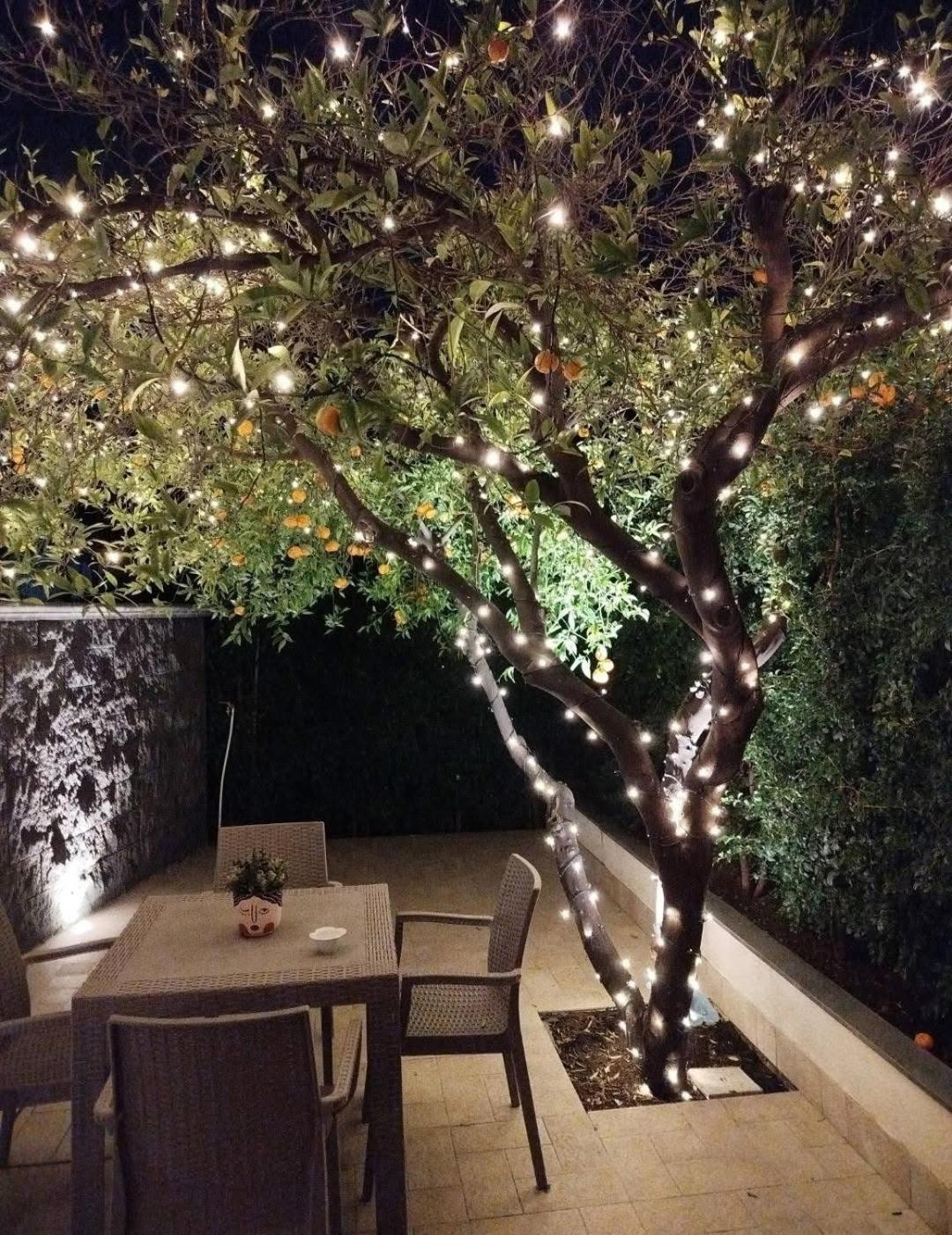 Casa Vacanza Il Mandarino Viagrande Buitenkant foto
