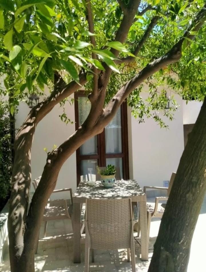 Casa Vacanza Il Mandarino Viagrande Buitenkant foto
